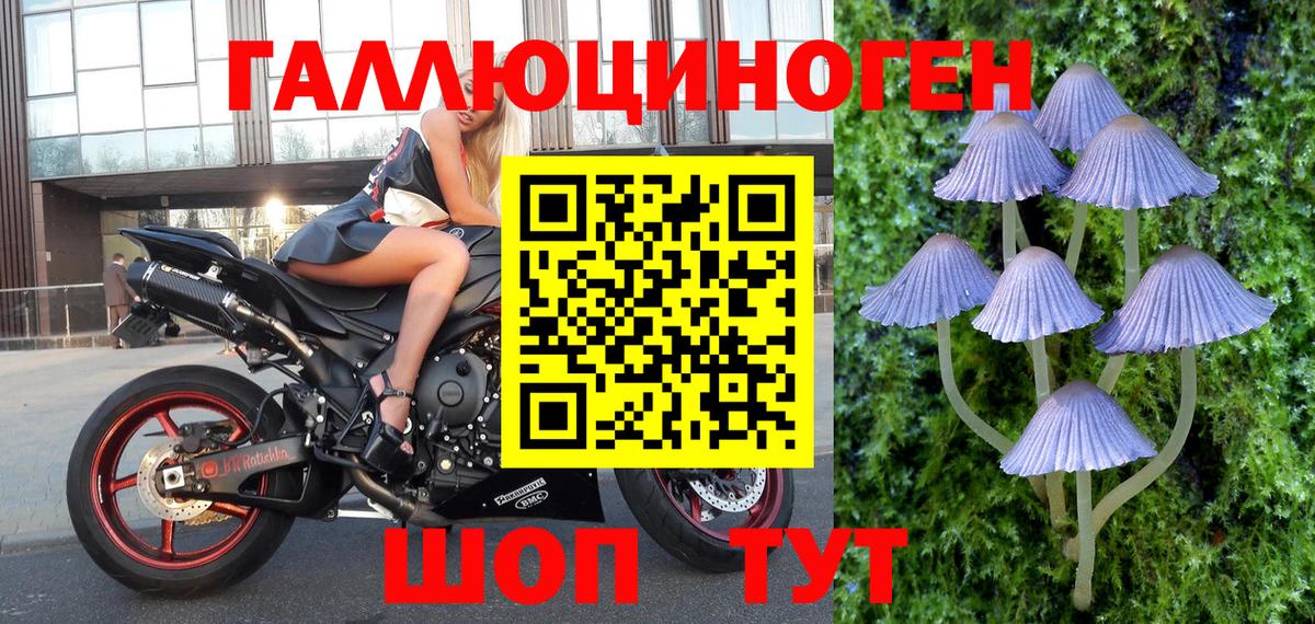 Галлюциногенные грибы MAGIC MUSHROOMS  Псилоцибиновые грибы мухоморы  Вход с VPN  Норильск 