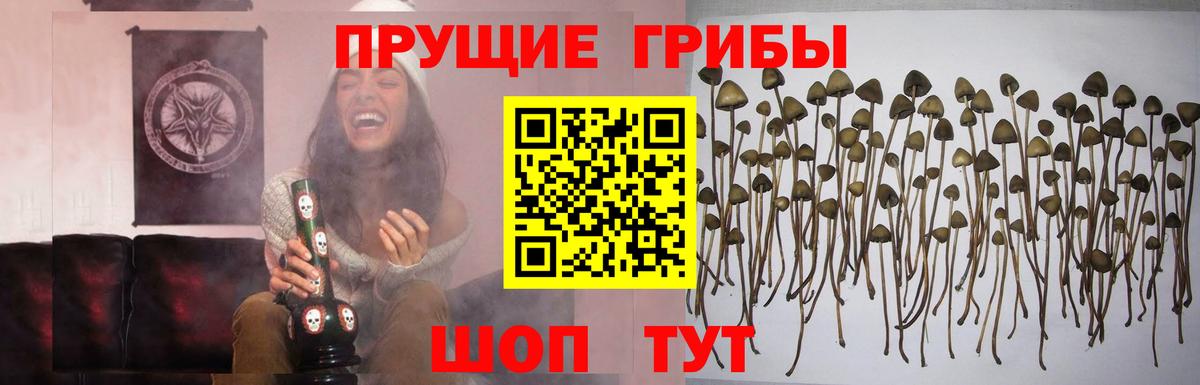 Галлюциногенные грибы ЛСД Норильск